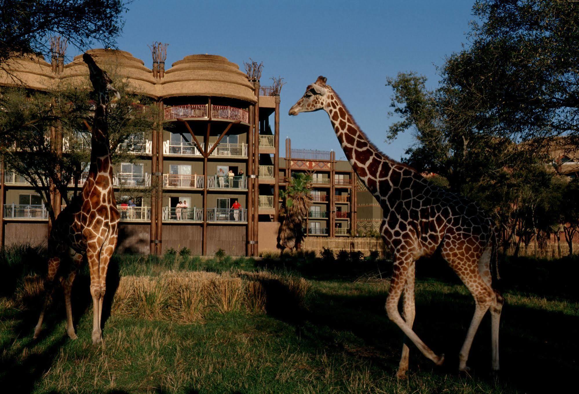 Disney'S Animal Kingdom Villas - Kidani Village Lake Buena Vista Dış mekan fotoğraf